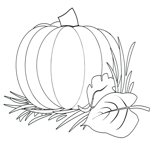 590x557 Christian Pumpkin Coloring Pages Fall Harvest Coloring Pages Color