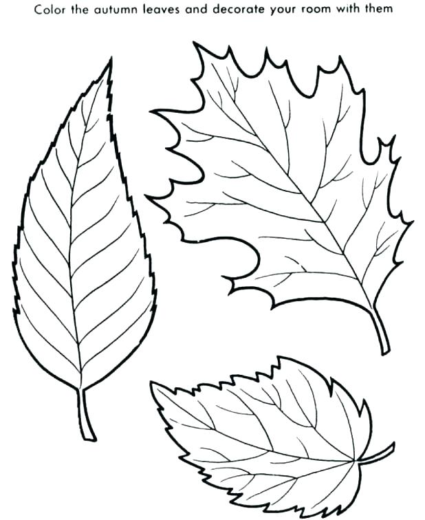 618x756 Leaf Color Page Falling Leaves Coloring Pages Wonderful