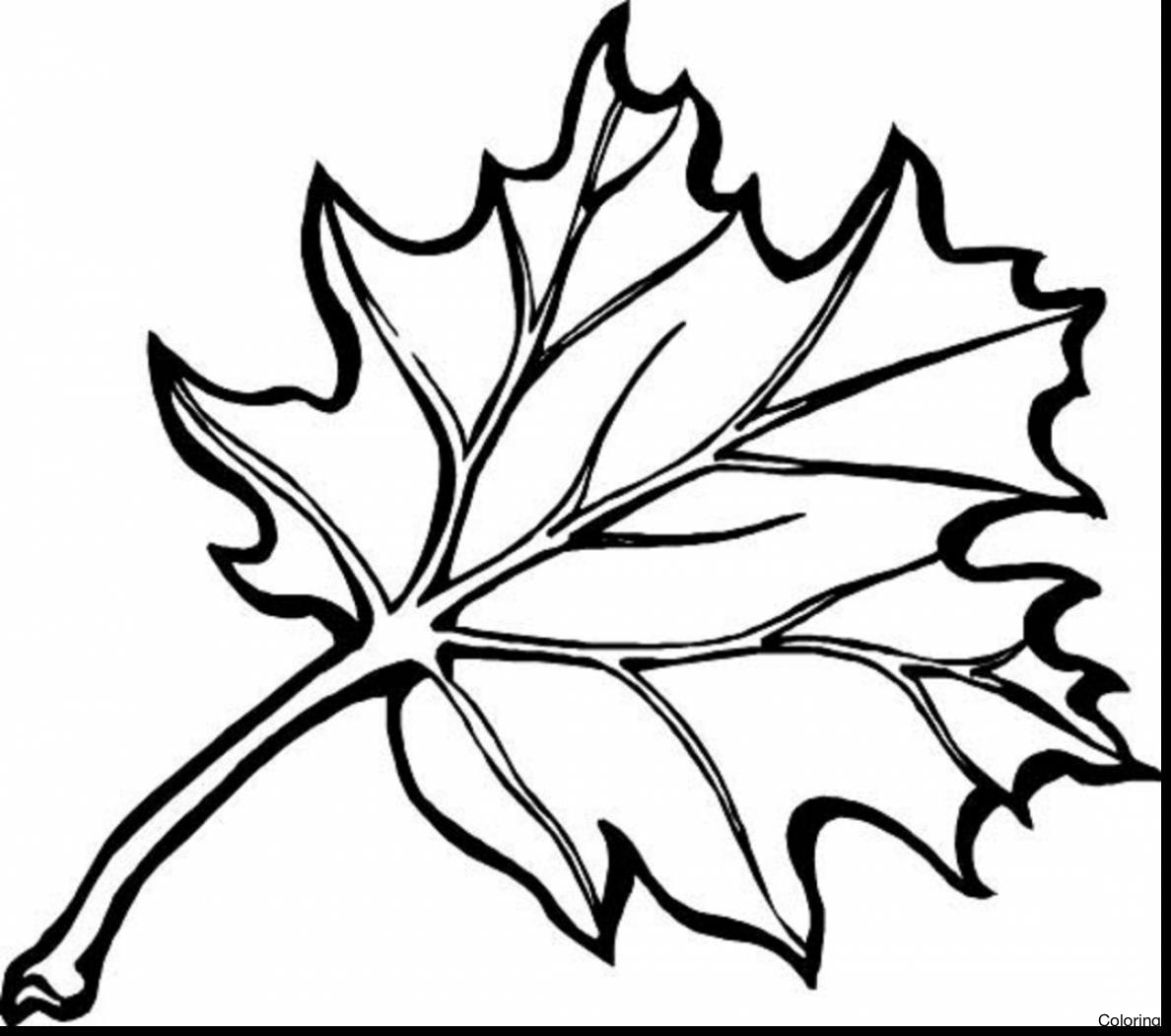1188x1051 Beautiful Pumpkin And Leaves Coloring Pages Fall Free Printable