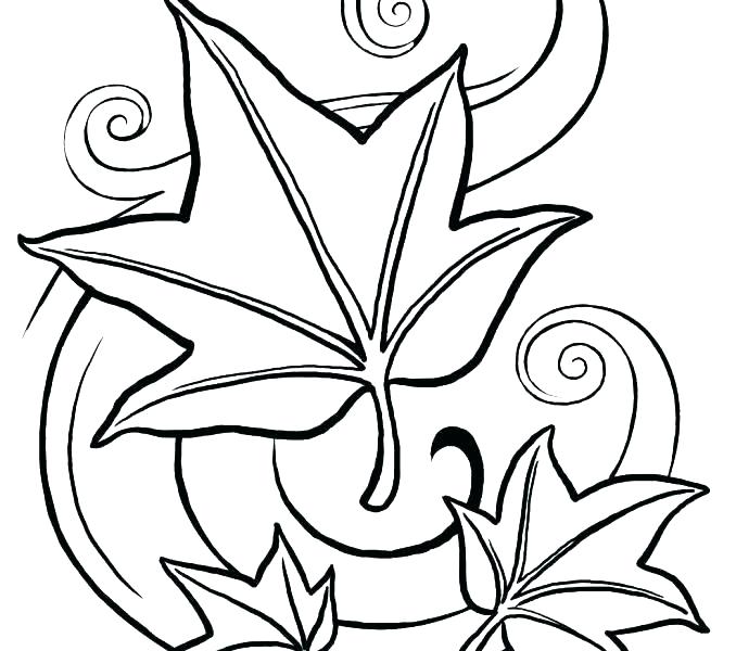 678x600 Coloring Pages Fall Printable Fall Leaves Coloring Pages Printable