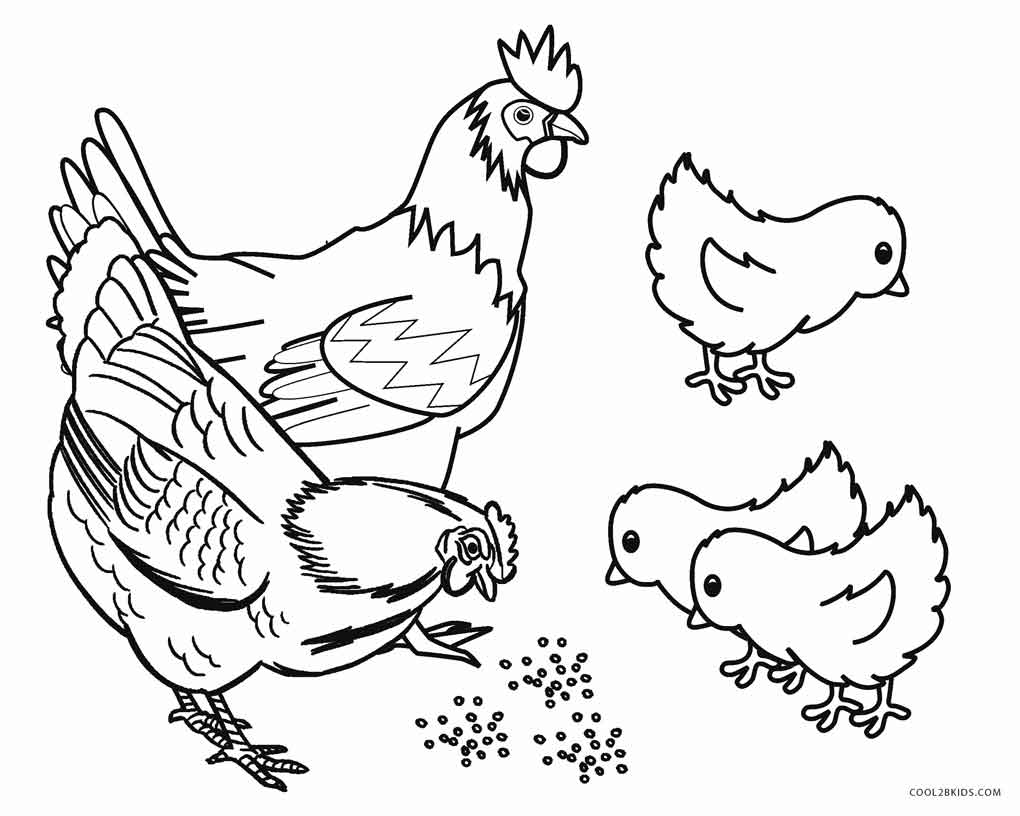 1020x816 Farm Animal Coloring Pages Comadre Site With Animals