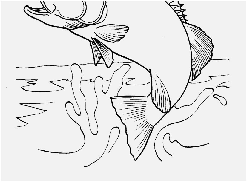 827x609 Fish Coloring Pages Photo Free Printable Fish Coloring Pages