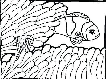 440x330 Fresh Printable Fish Coloring Pages For Free Printable Fish Cute