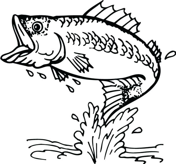 610x570 Printable Fish Coloring Pages Fish Coloring Pages Bass Coloring