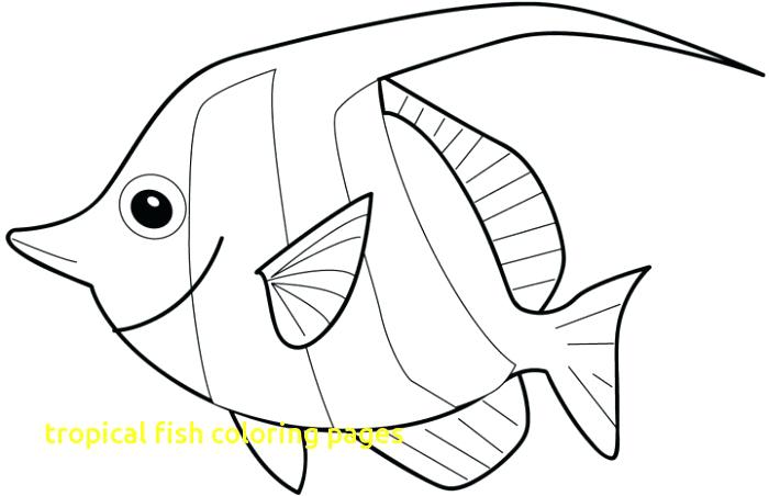 700x452 Tropical Fish Coloring Pages Free Printable Fish Coloring Pages