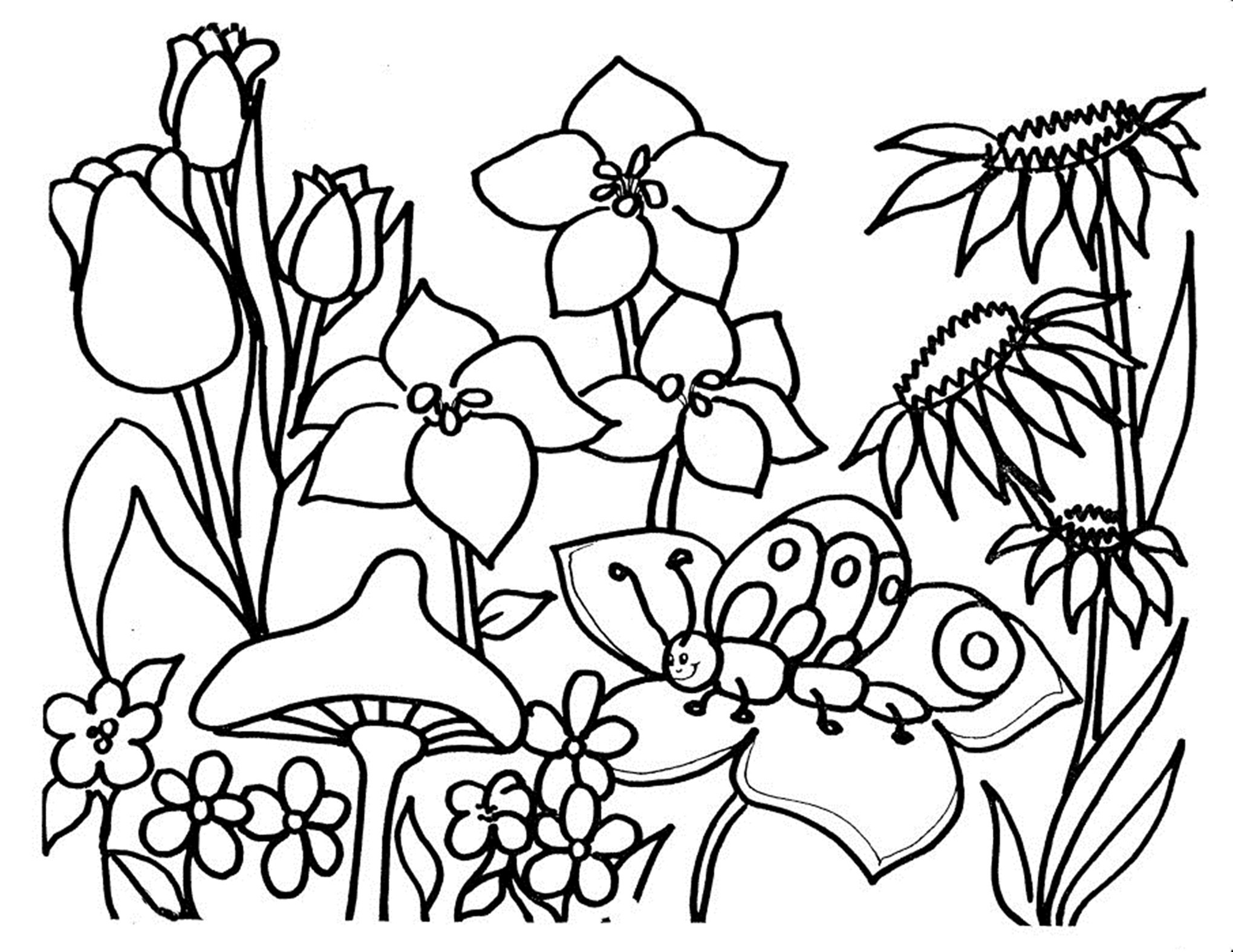 2039x1575 Coloring Sheets Of Flowers Printables Fresh Free Printable Flower