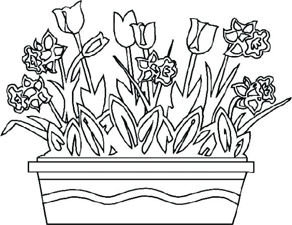 580x446 Coloring Sheets Of Flowers Realistic Flower Coloring Pages Flowers