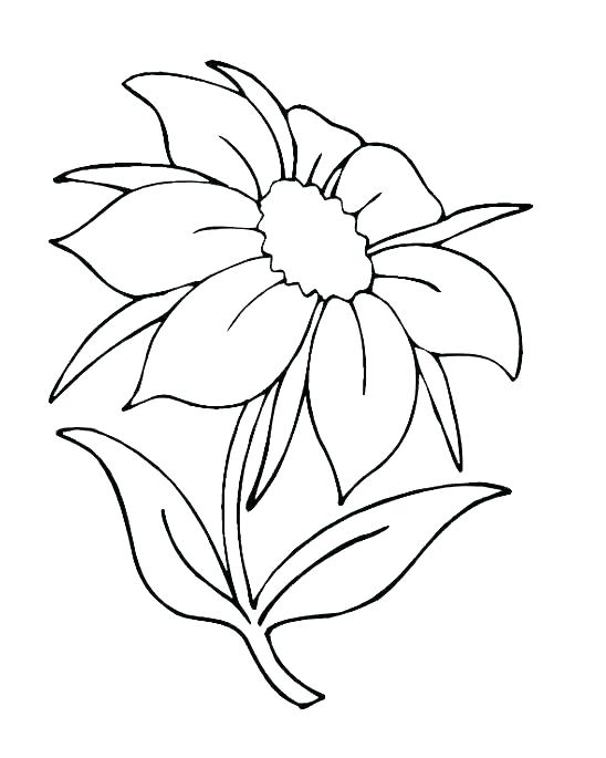 548x685 Colouring Pages Of Simple Flowers Free Printable Flower Coloring