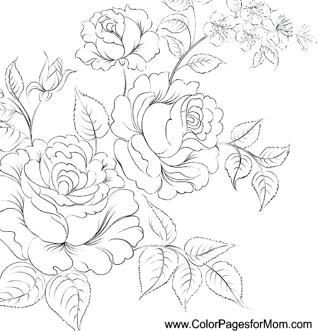 637x660 Printable Flower Coloring Pages For Adults Flowers Coloring Pages
