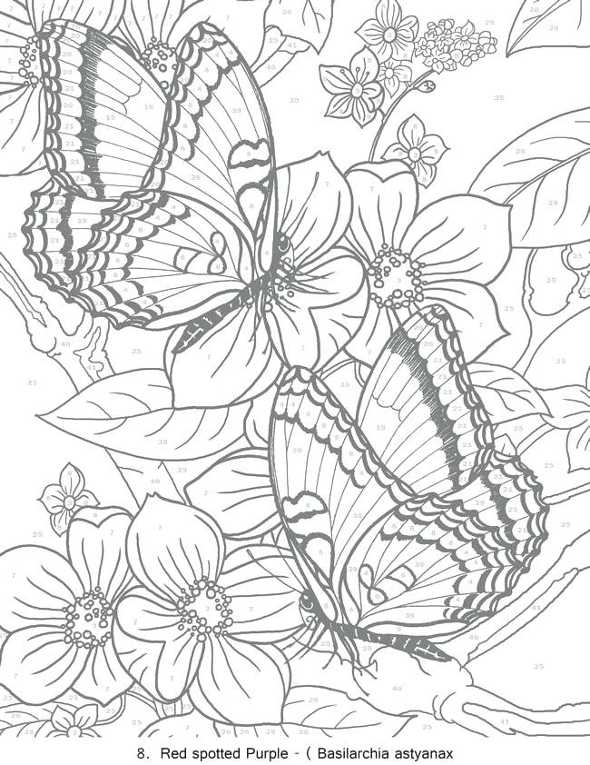 650x842 Butterflies And Flowers Coloring Pages For Adults Great Printable