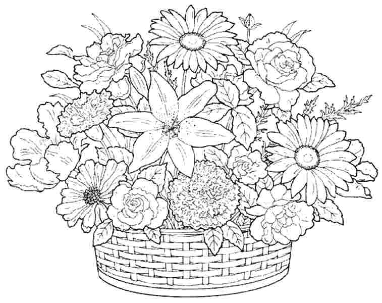 757x600 Flower Coloring Pages To Print Flower Coloring Pages Free