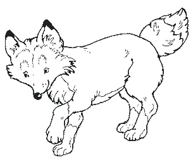 650x546 Free Coloring Pages Fox Coloring Page Porcupine Coloring Page Free