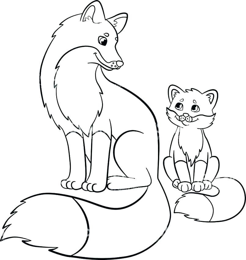 805x852 Red Fox Coloring Pages Coloring Pages Vector Jumping Fox For Adult