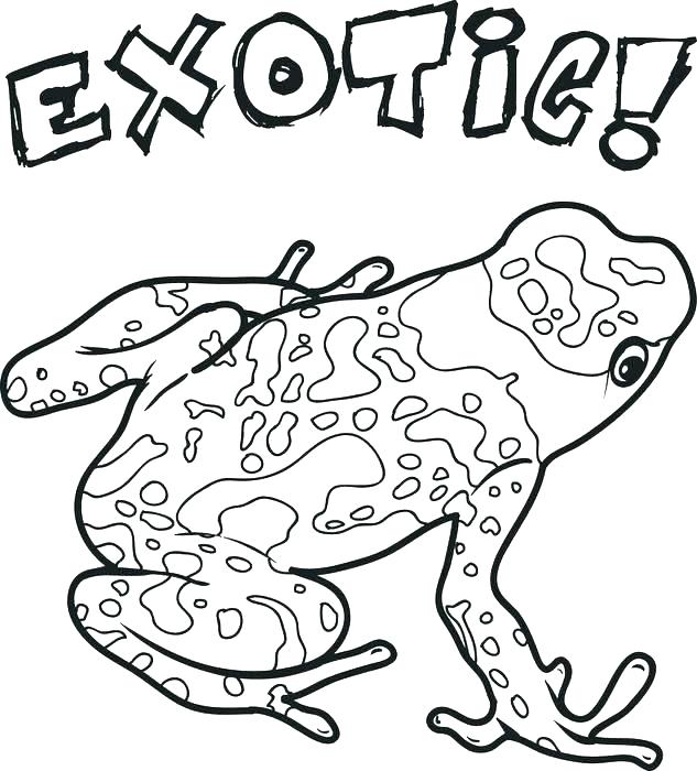 633x700 Free Frog Coloring Pages Printable Frog Coloring Pages Coloring