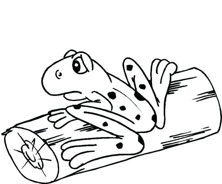 736x612 Frog For Coloring Coloring Pages Free To Print Printable Frog