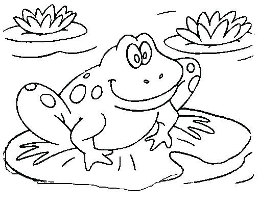 507x408 Printable Frog Coloring Pages Bold Inspiration Free