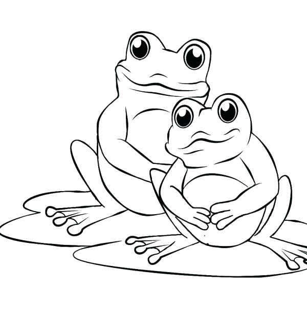 600x603 Printable Frog Coloring Pages Free The Frog Coloring Es Printable