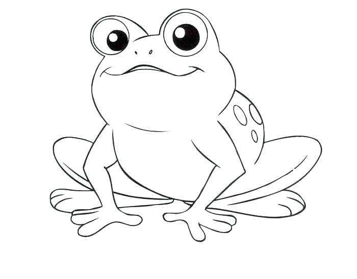 700x547 Printable Frog Coloring Pages Tree Frog Coloring Pages Frogs