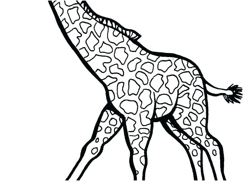 827x609 Giraffe Coloring Pages Pdf Giraffe Coloring Pages For Preschool