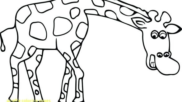585x329 Giraffe Coloring Pages Printable Wagashiya