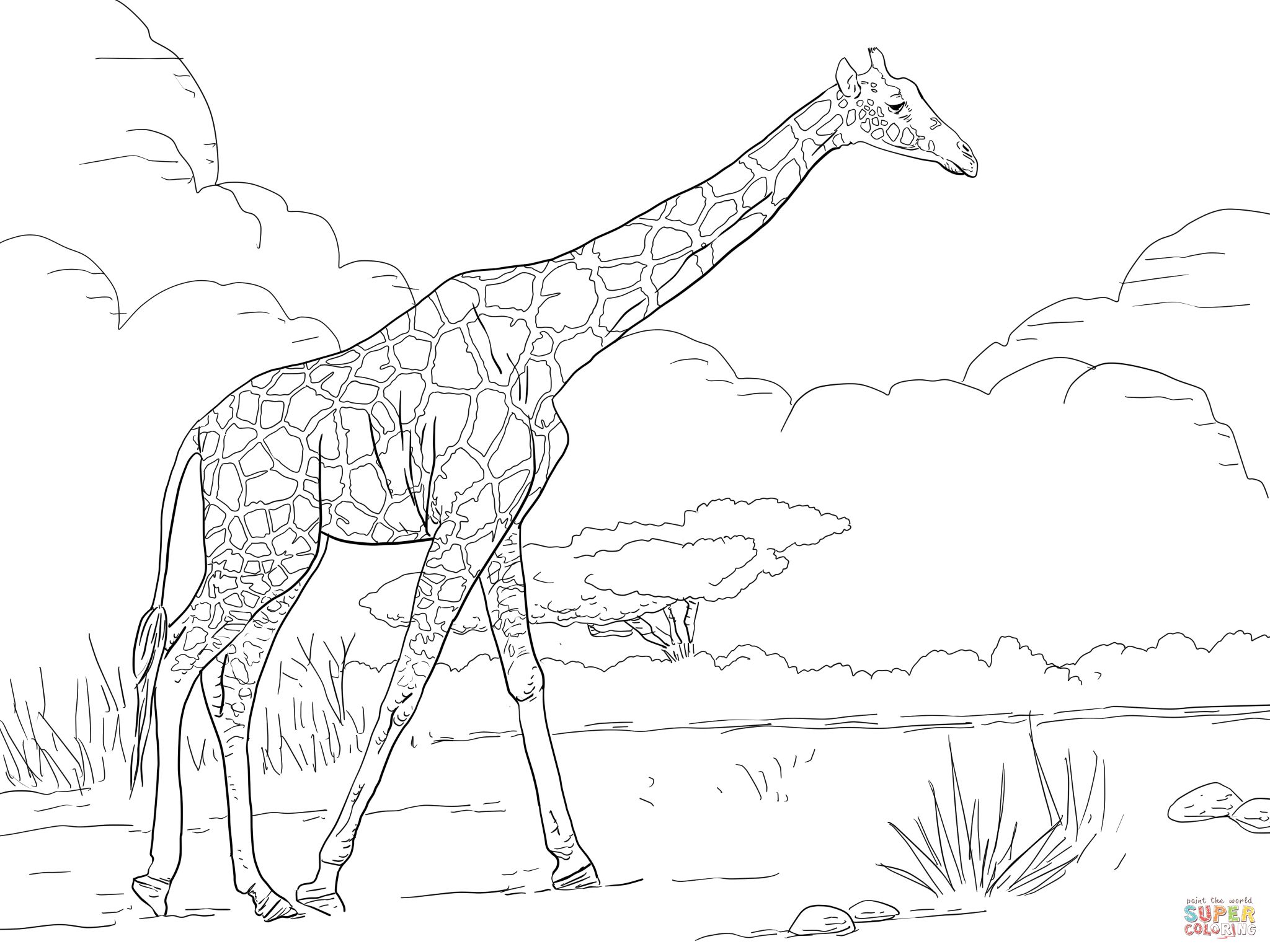 2048x1536 Reticulated Giraffe Coloring Page Free Printable Coloring Pages