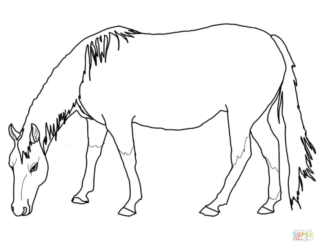1024x795 Coloring Pages Free Horse Coloring Pages Printable For Adults