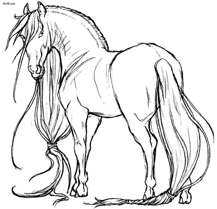 736x707 Coloring Pages Horses Coloring Page Horse Bookmontenegrome