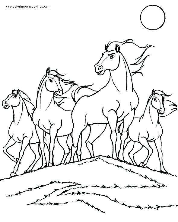 590x733 Horse Coloring Pages For Adults Printable Race Horse Coloring