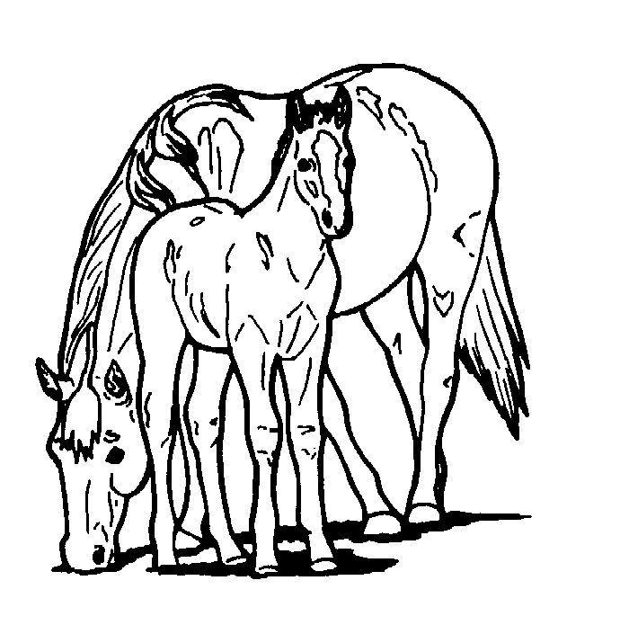 690x705 Valuable Design Ideas Printable Horse Coloring Pages For Adults