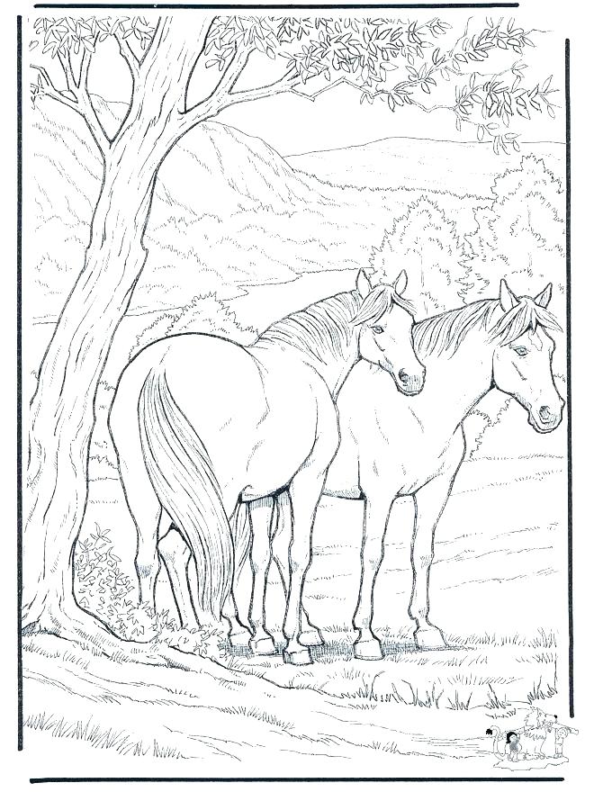 660x880 Free Coloring Pages Horses Free Carousel Horse Coloring Pages