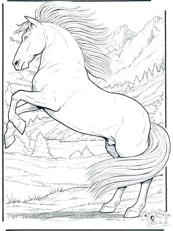 660x880 Free Printable Horse Coloring Pages For Adults Coloring Horse