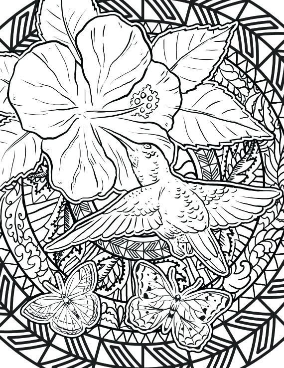 570x738 Hummingbird Coloring Pages Simple Ngbird Coloring Page Fee Pages