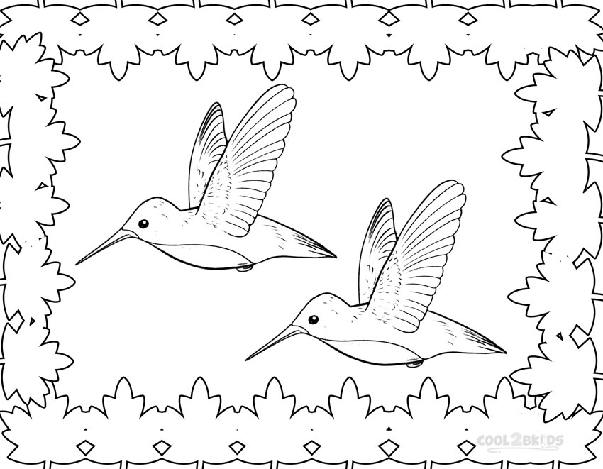 850x661 Printable Hummingbird Coloring Pages For Kids