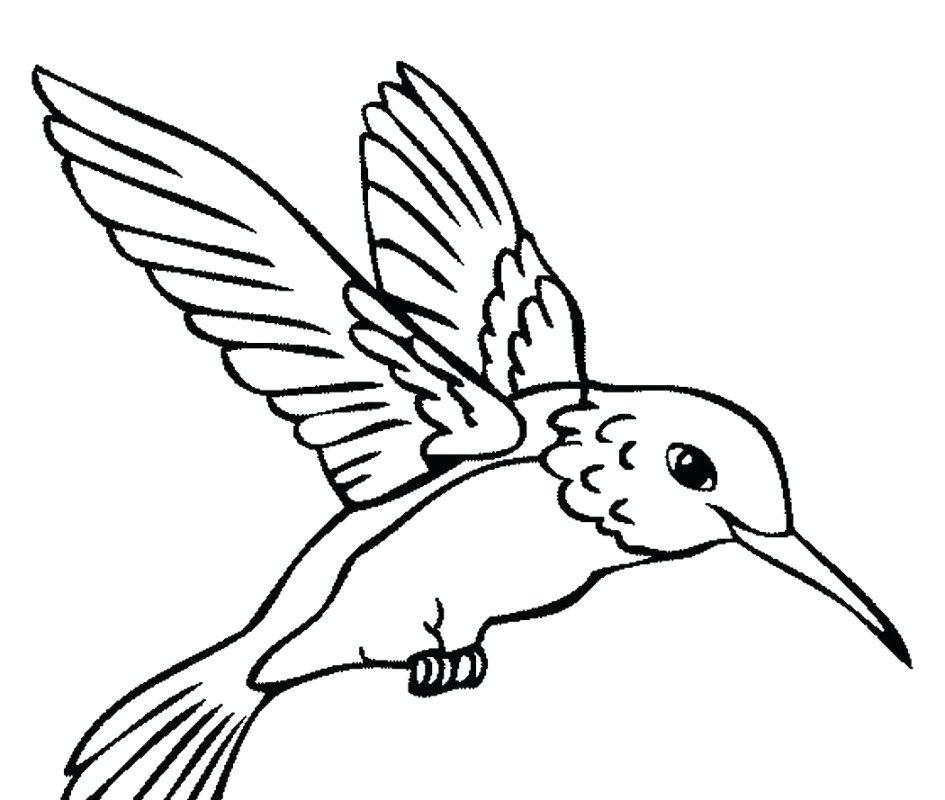 945x800 Free Coloring Pages For Adults Mama Bees Freebies Hummingbird