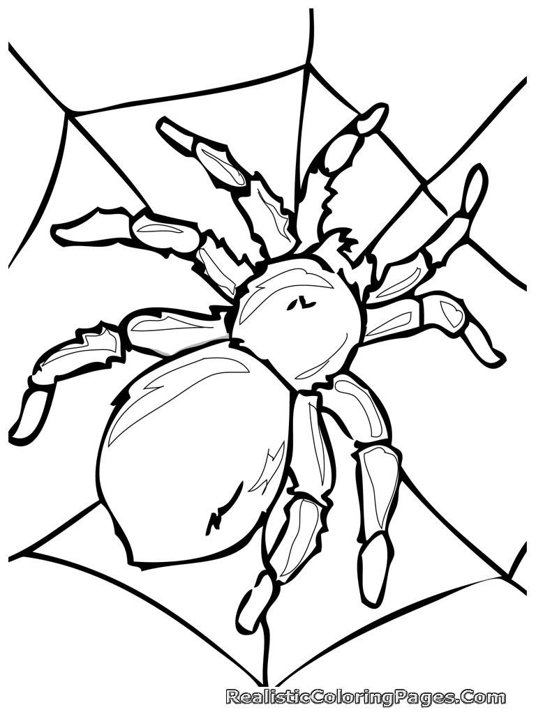 768x1024 Insect Coloring Pages Fresh Free Printable Bug Coloring Pages