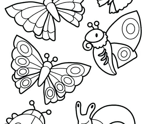 520x425 Insect Coloring Pages Insect Coloring Pages Printable Insects Top