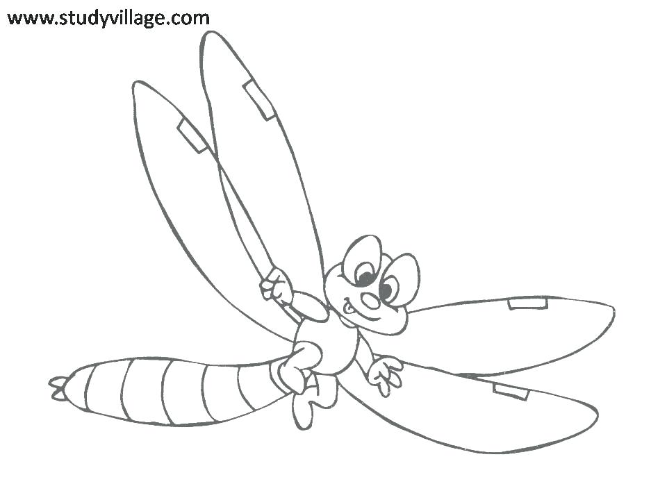 960x720 Insect Lessons For Preschoolers Kids Coloring Bug Coloring Pages
