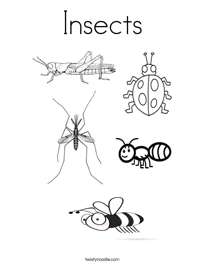 685x886 Insects Coloring Pages