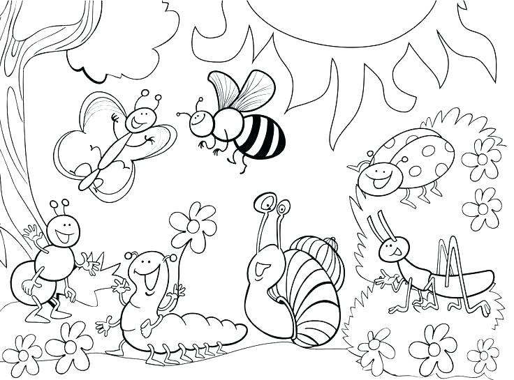 736x545 Insects Coloring Pages Bugs Coloring Page Free Printable Insect