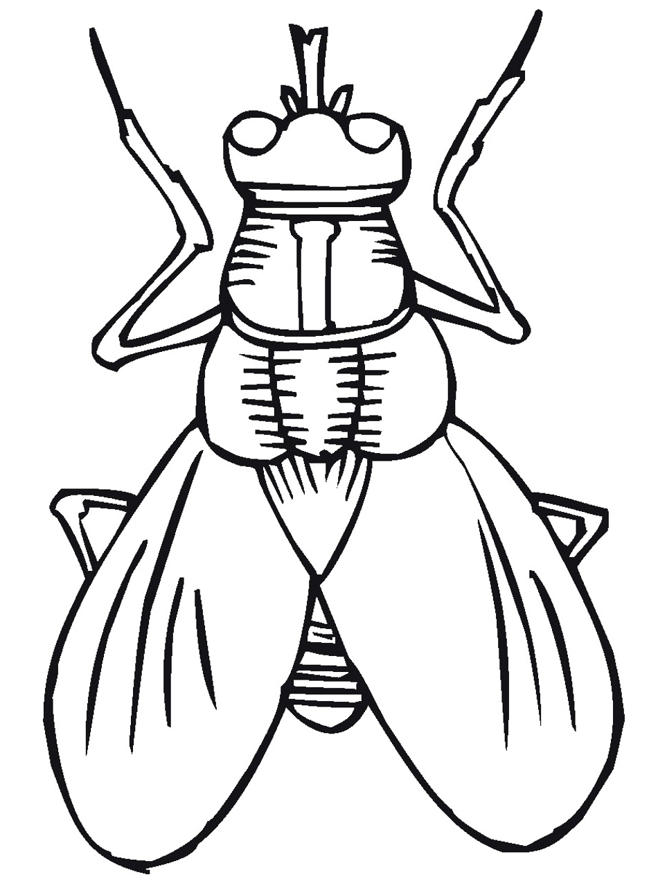 950x1266 Printable Insect Coloring Page For Pictures With And Pages