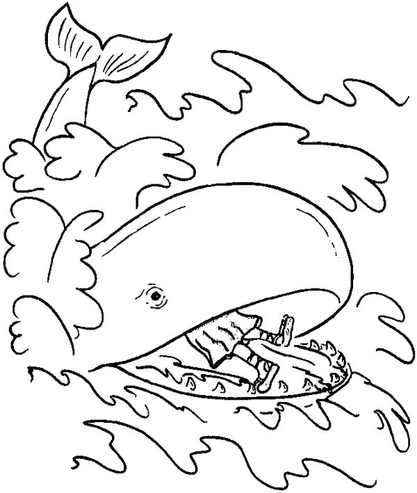 600x709 Whale Coloring Page Full Size Of Draw Humpback Large Pages
