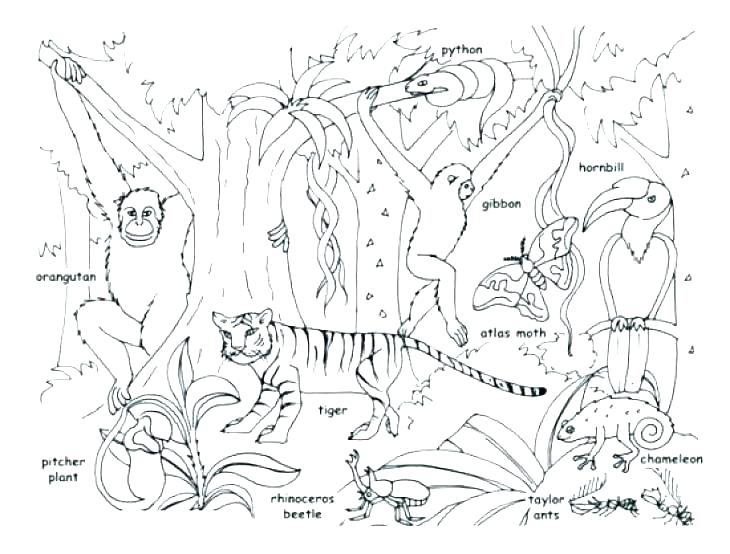 730x554 Coloring Page Animals Free Printable Coloring Pages Of Animals