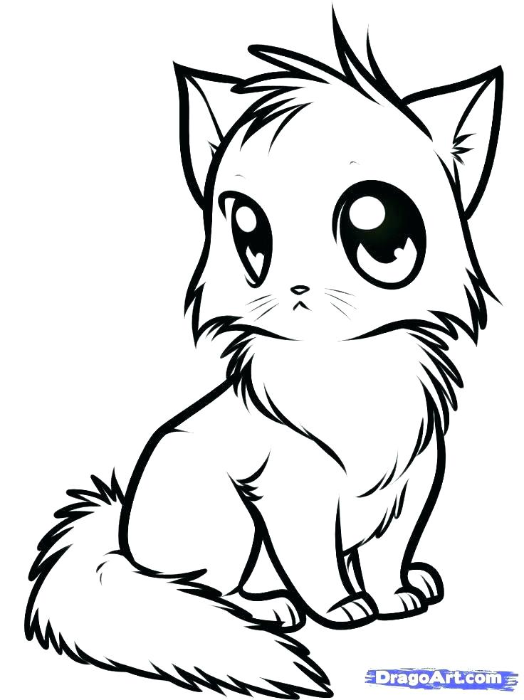 Free Printable Kitten Coloring Pages at GetDrawings | Free download
