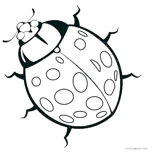 640x646 Coloring Pages Bugs Potato Bug Coloring Pages Formidable For Kids