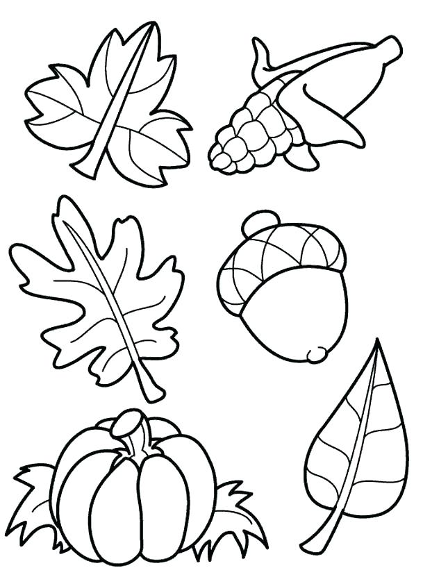 645x818 Leaf Coloring Maple Leaf Coloring Page Printable Leaves Coloring