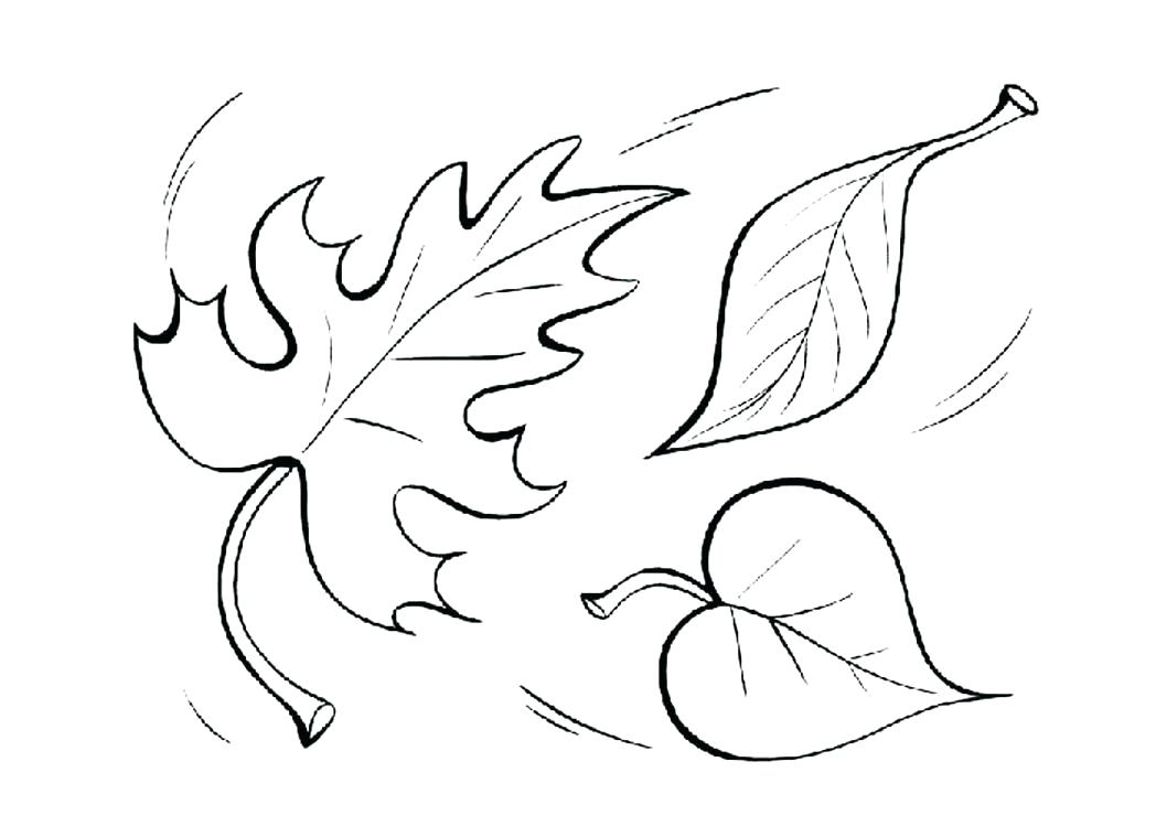 1048x749 Leaf Printable Coloring Pages Leaf Printable Coloring Pages Leaf