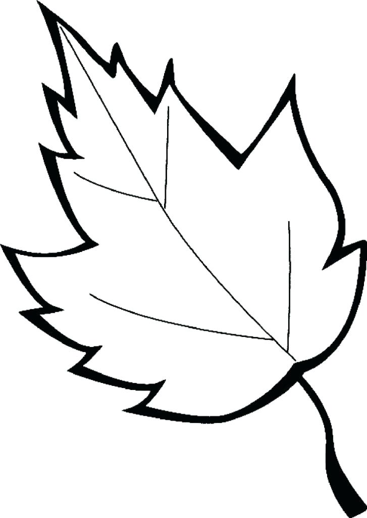 727x1024 Printable Leaves Coloring Pages New Of Maple Leaf Coloring Page