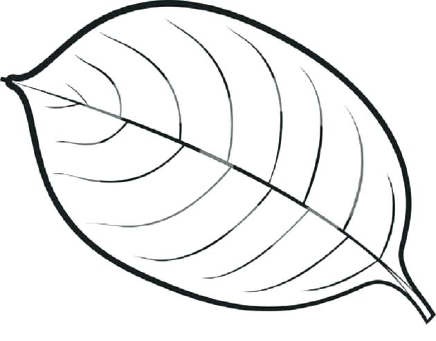 630x493 Coloring Pages Of Leaves Printable Leaves Coloring Pages Leaves