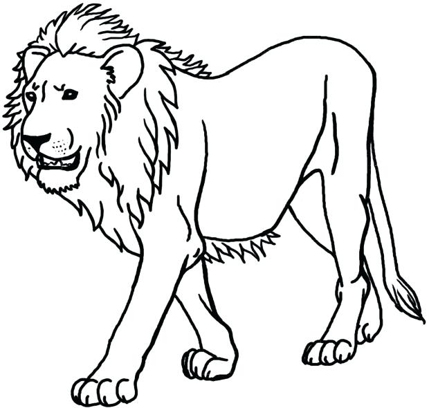 620x590 Free Printable Lion Coloring Pages Lion Coloring Pages Printable