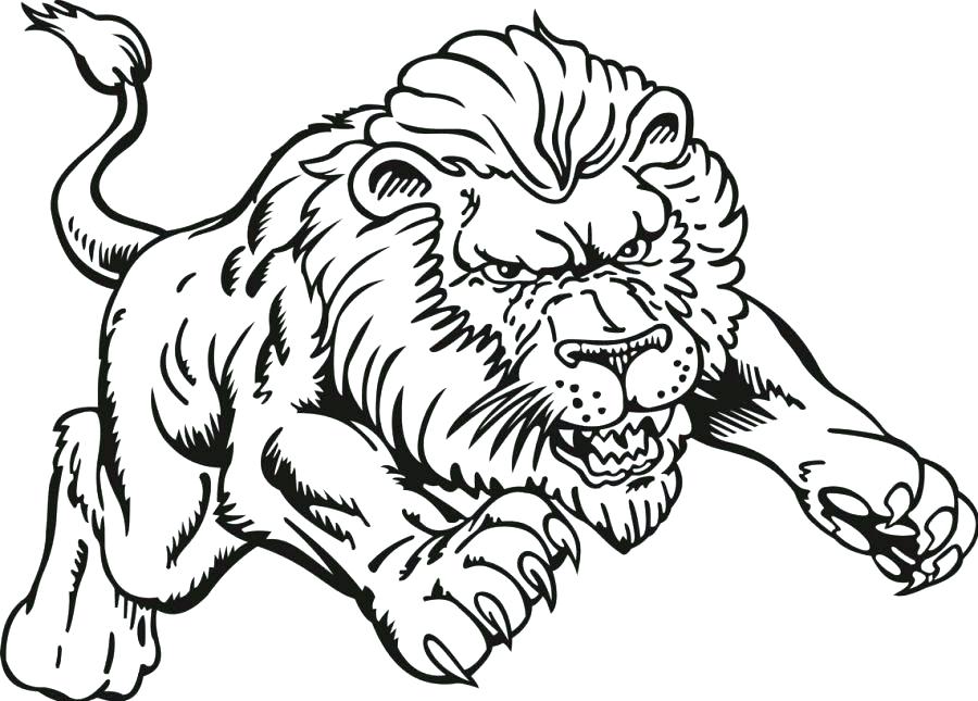 900x645 Coloring Pages Of A Lion